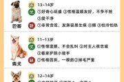 幼犬成长之路（宠物幼犬的成长时间和关键阶段）