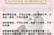 小猫不盖被子会着凉吗？（小猫感冒的原因与防护方法）