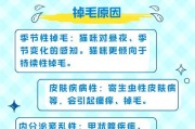 夏天剃毛后，猫咪多久会长出新毛？（揭秘猫咪剃毛后恢复的时间及注意事项）