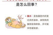 幼犬拉肚子的原因及应对方法（幼犬拉肚子的危害及预防措施）