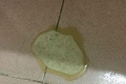 小狗经常吐黄水，原因及应对方法（了解小狗吐黄水的原因，有效预防和治疗）