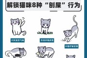 揭秘猫咪为何害怕黄瓜（追踪猫咪的黄瓜恐惧症，后果不堪设想）
