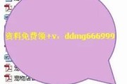 开宠物店的手续及要求（了解开宠物店的必要手续和要求，让您成功创办自己的宠物店）