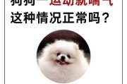 揭秘狗狗喘气的原因及处理方法（狗狗喘气并不意味着身体出现问题，但也需留意）