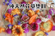如何为仓鼠选择合适的垫料？（探索五种最佳仓鼠垫料，为你的宠物提供舒适的居住环境！）