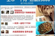 如何科学喂养泰迪犬（泰迪一天吃多少狗粮才合适？不同阶段的饮食需求详解）