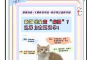 猫咪适应新环境所需的时间和方法（从陌生到熟悉，猫咪需要多长时间适应新家）