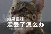 走失的猫咪怎么找回来？（寻找失踪宠物的有效方法及经验分享）
