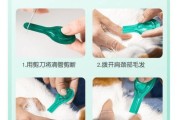 狗狗生病好了多久可以驱虫（了解狗狗驱虫的时间和方式，保护它们的健康）