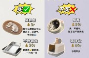 新手养猫必读，宝贝猫咪的抚养要点！（掌握这些关键知识，让你成为猫奴的首席管家！）