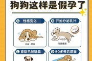 母狗下奶后多久生小狗的过程与注意事项（了解母狗生育周期，为宝宝的到来做好准备）