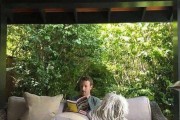 如何科学地饲养波利犬？（从基础养护到精细化管理，掌握这些技巧，让波利犬健康成长！）