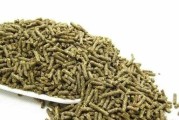 小心！兔子不能吃这些菜（了解兔子的饮食禁忌，保护宠物的健康）