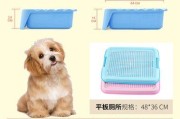 小型犬的排便频率及注意事项（了解小型犬的拉大便习惯，关注它们的健康）