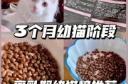 小奶猫的断奶时间（了解小奶猫的断奶过程，帮助它们健康成长）