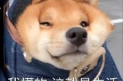 探究狗狗不同叫声所代表的含义（通过研究狗狗不同叫声了解其表达方式及需求）