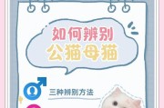 如何为刚出生的小猫做标记？（简单有效的方法和注意事项）