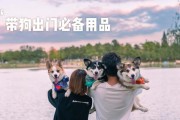 新买的狗狗，多久可以带出去？（探索适合狗狗外出的最佳时机）