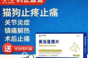 救助被撞骨折的狗狗，这种药最有效（选择适合的药物治疗你的狗狗骨折）