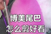 如何训练你的博美装死（通过简单步骤轻松让你的博美学会装死）