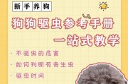 狗狗驱虫（宠物狗的驱虫周期及效果如何？）