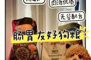 泰迪狗狗美毛的秘诀（饮食调理是关键）