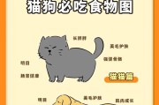 猫咪的饮食习惯揭秘（探究猫咪进食时间和习惯的关键因素）