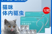 以吃打虫药不能吃什么（了解禁忌食物，避免药物相互作用）