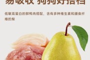 贵宾犬的科学喂食方法（了解贵宾犬的喂食标准，给你的宠物健康饮食）