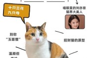 母猫快生了的预兆（了解母猫快生了的四个重要迹象）