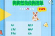 狗狗的禁食物——请注意你的宠物饮食安全（了解哪些食物对狗狗有害，避免健康问题）