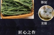 龙猫的饮食习惯与健康养护（龙猫早上提草吃完后多久适合吃粮，龙猫饮食时间的调节方法）