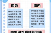 小猫体内驱虫时间及注意事项（了解小猫体内驱虫的重要性及最佳时机）