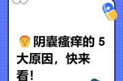 狗狗阴囊炎的病菌及相关信息（了解狗狗阴囊炎的病原和预防方法）