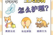 狗狗例假后的消肿时间及注意事项（狗狗例假后的恢复周期和预防措施）