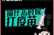 猫咪的必要疫苗（为了猫咪的健康，这些疫苗不能忽视）
