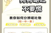 如何处理狗狗严重呕吐问题（措施与注意事项）