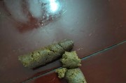 细小病毒（探讨细小病毒对狗狗的影响及救治方法）