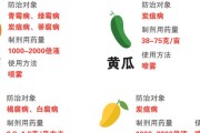 西里汉梗饲养指南（从选购到繁殖，全面了解西里汉梗饲养技巧）