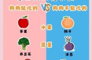 狗狗的健康饮食之道（以这6种食物滋养狗狗，让它健康又养生）