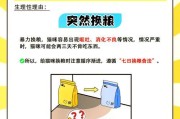 小猫刚出生后多久不吃食物？（探究小猫刚出生后的进食周期）