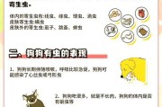 狗吃驱虫药需要多久？（科学驱虫时间和频率，）