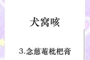 宠物狗咳个不停，主人如何应对？（教你有效处理狗狗咳嗽问题，让它尽快康复）