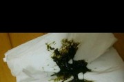 小狗吐黑色物质的原因及处理方法（了解小狗吐黑色物质的原因，保护它的健康）