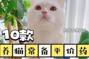 猫咪外伤护理（保护你的猫咪，选择合适的药物进行外伤护理）