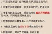 《揭秘狗狗世界的50个冷知识》（从养狗人角度看，你绝对不能错过的狗狗知识！）