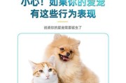 宠物狗驱虫多少钱？（了解宠物狗驱虫的费用和注意事项）
