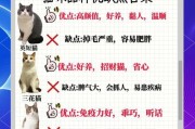 为什么养猫比养狗好？（探索养猫的6大点“优势”）