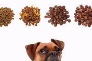 金毛幼犬的水果饮食指南（为你的金毛宝宝选择适合的水果，让它健康成长）
