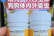 狗狗幼犬如何科学驱虫（驱虫时机、方法和注意事项）